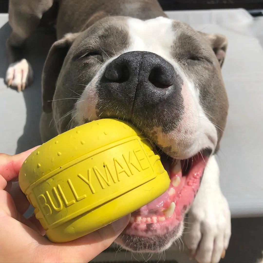 Happy dog 01