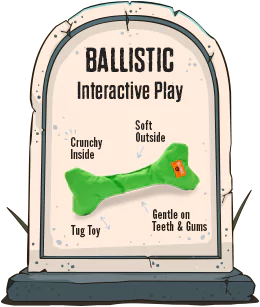 Ballistic (Interactive Play) - Crunchy Inside, Soft Outside, Tug Toy, Gentle on teeth & Gums.